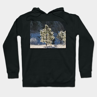 Winter Glory Hoodie